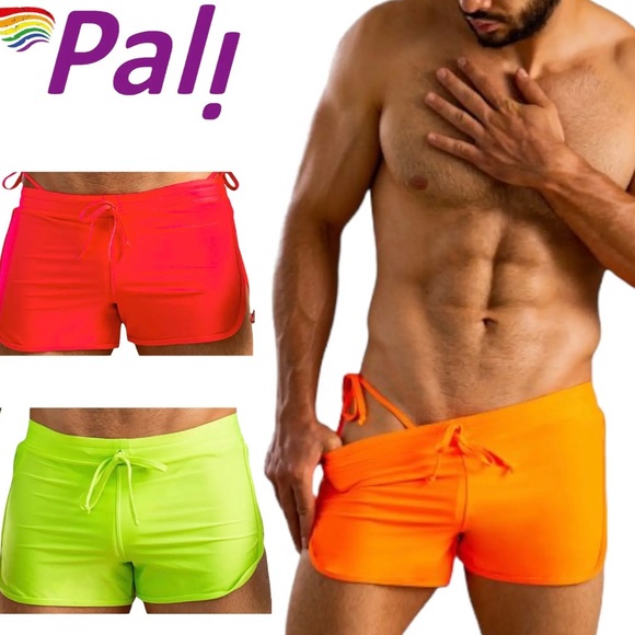 Pali Mens Premium Quality Swimsuit Swim Surf Board Beach Briefs Trunks - Picture 1 of 3